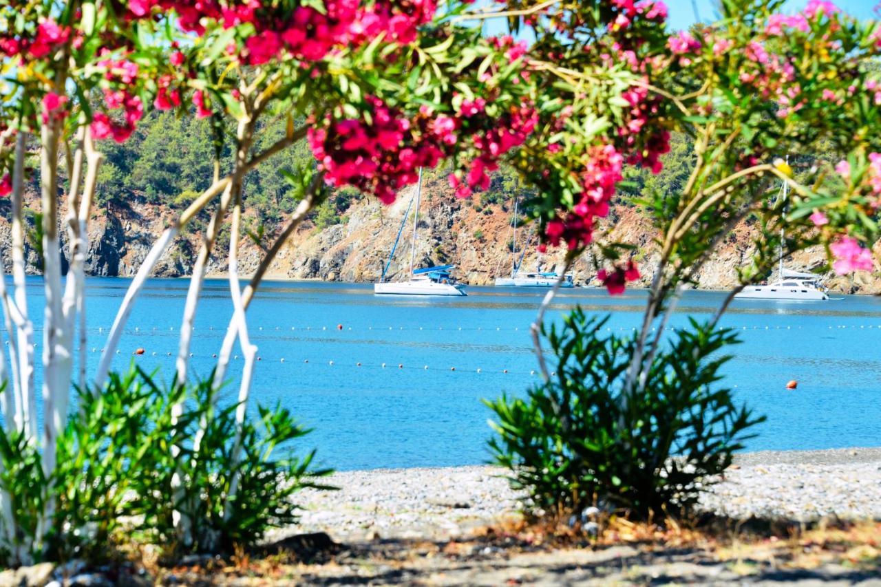 Santana Gocek Villa Gocek  Ngoại thất bức ảnh